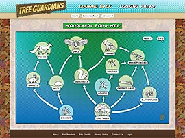 Tree Guardians - Woodland Food Web interactive