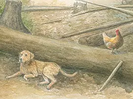 Farm dog and chicken near fallen tree,